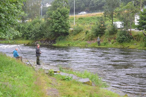 Storelva-Arna (1).jpg