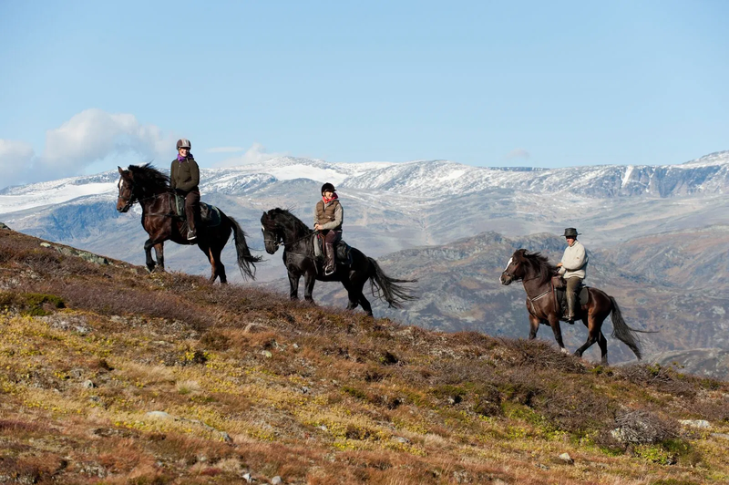 large-HorsebackridingatBeitostølen-TerjeRakke-VisitNorway.com.webp